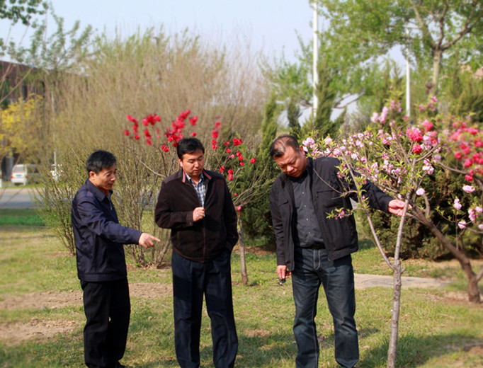 图三:询问现场苗木情况